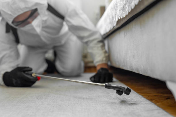 Professional Bed Bug Control technician working in Berkeley County County, SC